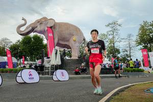 BIB: 
                            <button type="button" onclick="openModal(26528754)" class="btn btn-primary btn-sm float-right btn-popup" data-toggle="modal" data-target=".modal-high-quality">
                        <i class="fas fa-shopping-cart"></i> Add to Cart
                    </button>
                                            <button type="button" onclick="isThisMe(26528754, true)" class="btn btn-success btn-sm float-right btn-popup btn-isme hidden" data-toggle="tooltip" data-placement="bottom" title="นี่คือรูปของคุณใช่ไหม คลิกที่นี่เพื่อเอาเข้าอัลบั้ม">
                        <i class="fas fa-plus"></i> Add to album
                    </button>
                    <button type="button" onclick="isThisMe(26528754, false)" class="btn btn-warning btn-sm float-right btn-popup btn-isnotme hidden">
                        <i class="fas fa-ban"></i> Remove from album
                    </button>